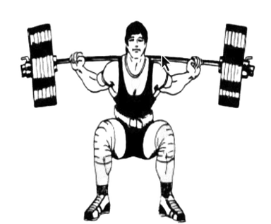 Squat illustration